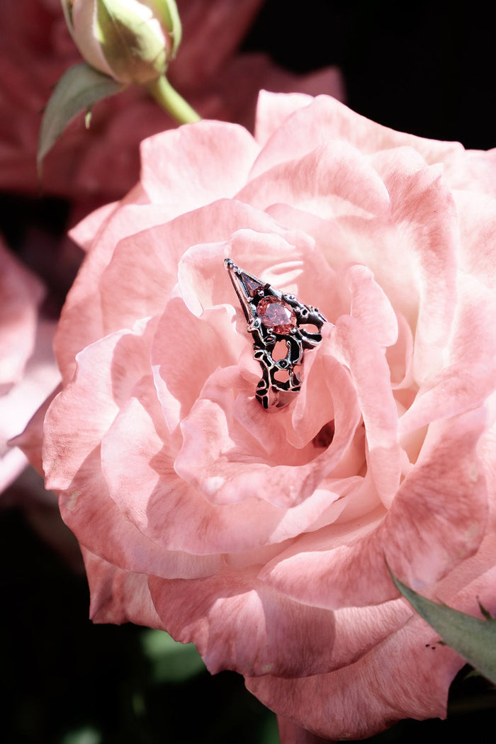 a gorgeous stainless steel ring