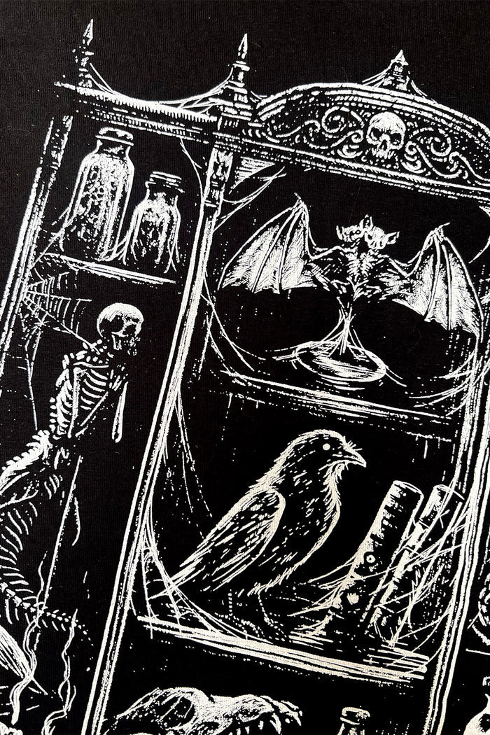 cabinet of curiosities weird things sweatshirt