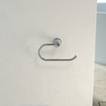 Main Caroma Riviere Toilet Roll Holder - Chrome 520030C - The Blue Space