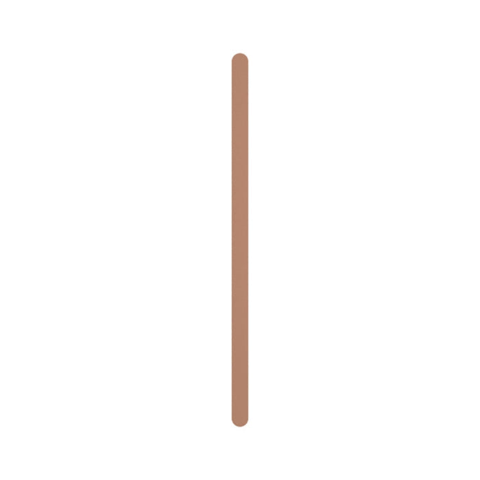 Front Fienza Empire Slim Vertical Heated Towel Rail 60 x 900mm Brushed Copper 889900CO - The Blue Space