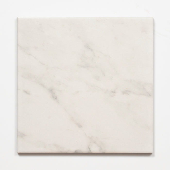 Single no Hand Matrix White Marble Look Matte Porcelain Tile P3 200mm x 200mm 2AMIWHM - The Blue Space