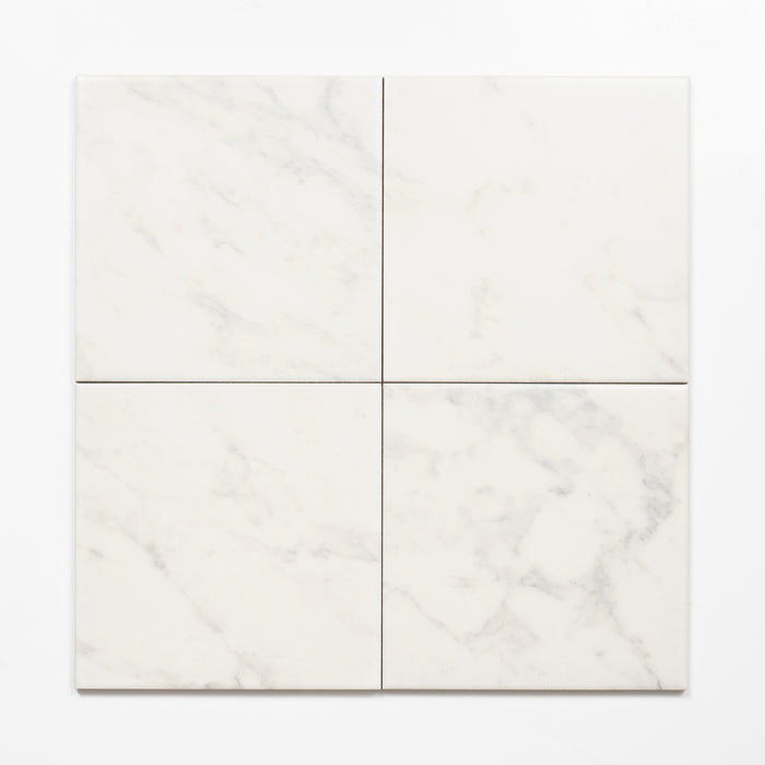 Pattern no Hand Matrix White Marble Look Matte Porcelain Tile P3 200mm x 200mm 2AMIWHM - The Blue Space