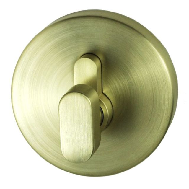 Nidus Spring Eurobolt Single Cylinder Satin Brass P-S-EB1-SB-V - The Blue Space
