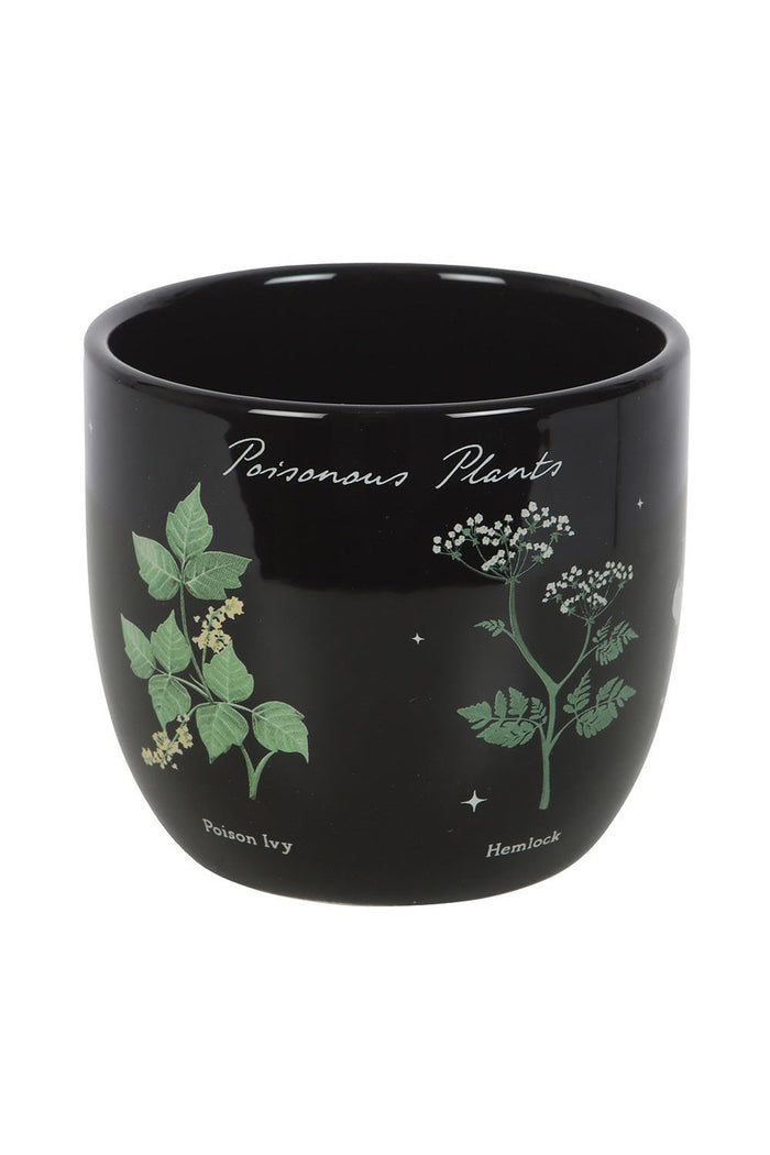 occult dark forest witch ceramic  planter pot