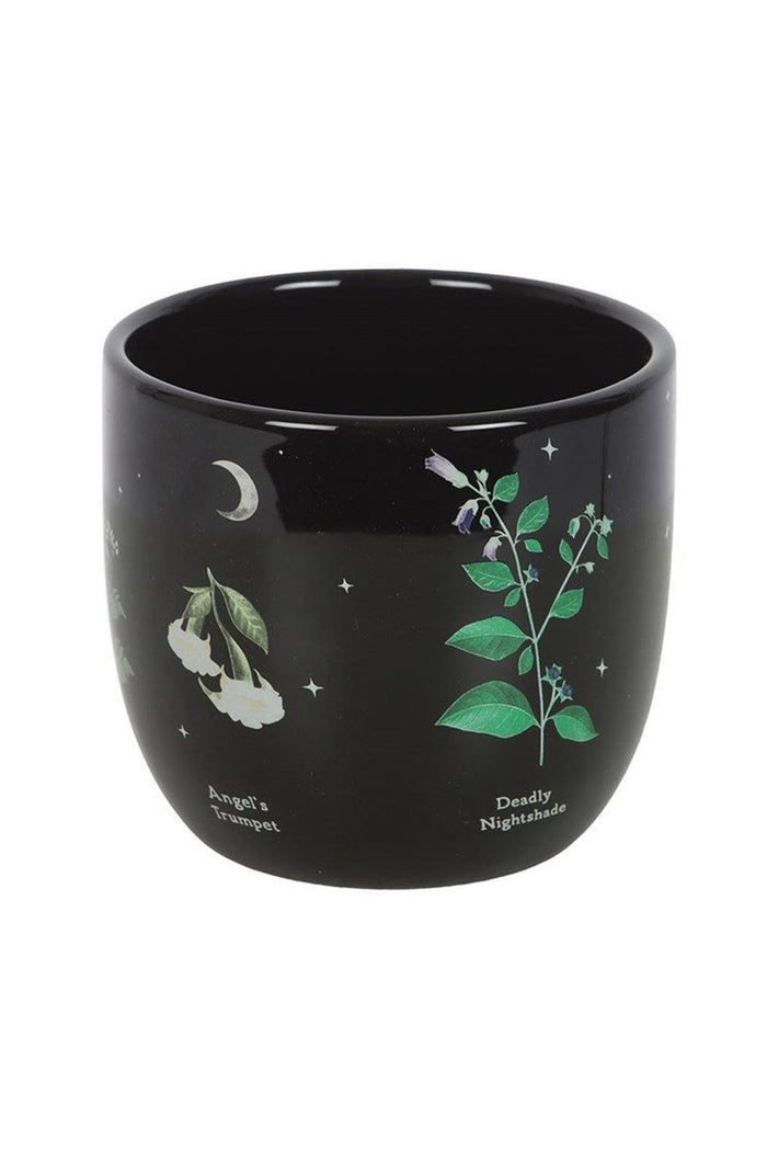 dark cottagecore gothic indoor pant pot