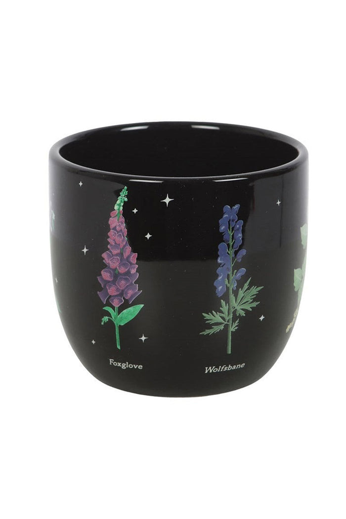 witchy ceramic dark cottagecore gothic indoor pant pot