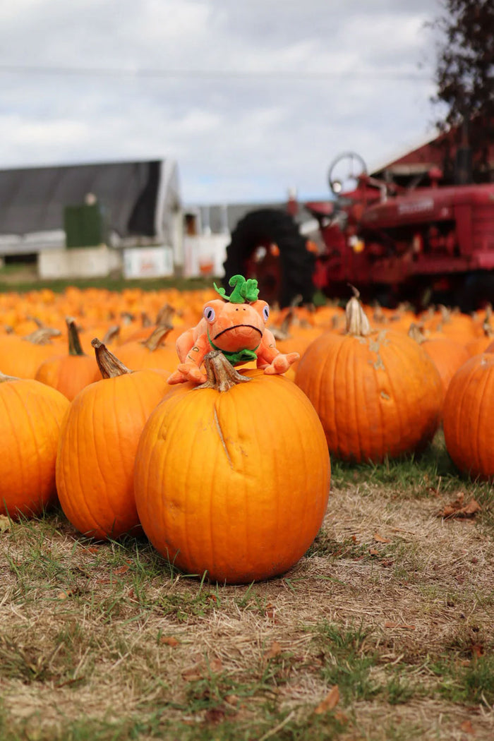 Orange toad plush on pumpkin in pumpkin patch