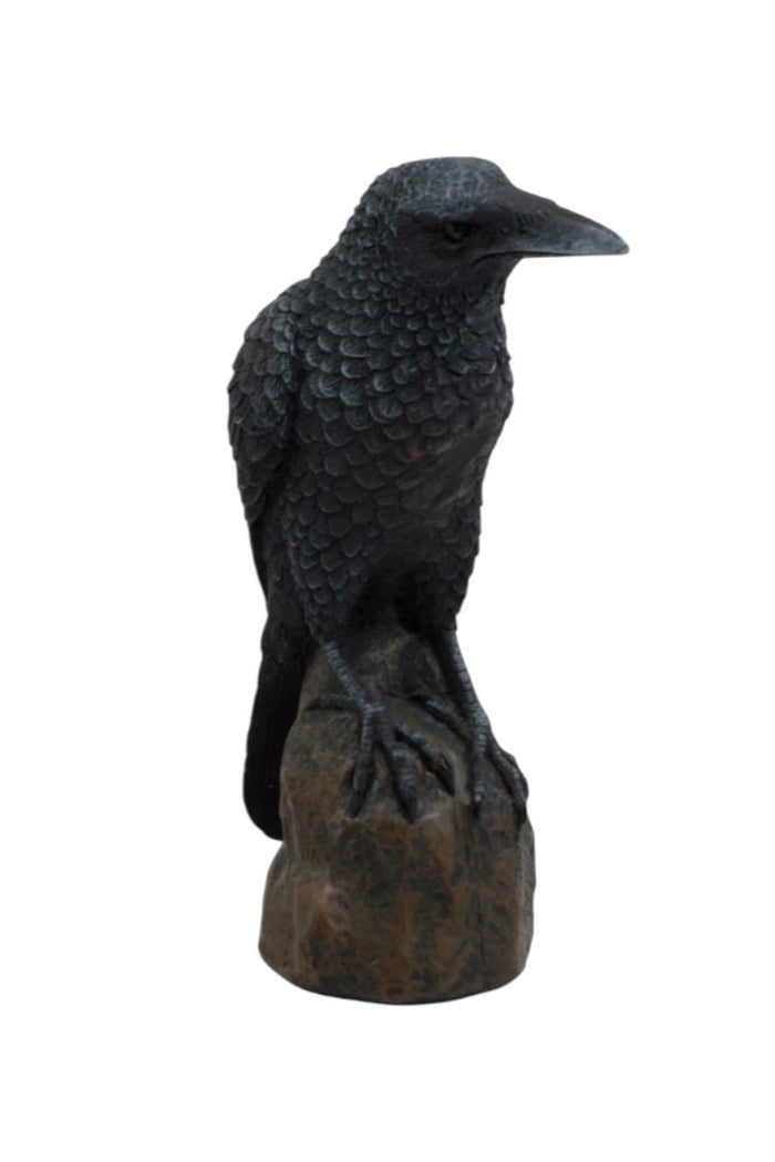 hautning black resin spooky raven statue