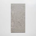 Single no Hand Southside Grey Terrazzo Matte Porcelain Tile P4 300mm x 600mm 36STUGYM - The Blue Space