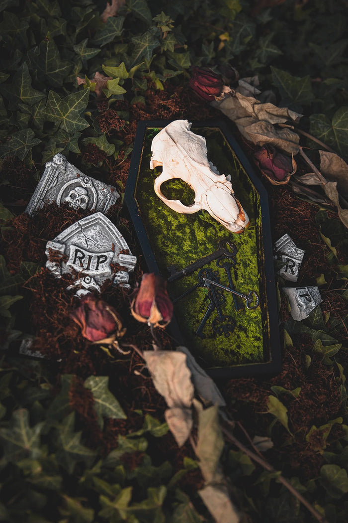 Velvet Coffin Trinket Box [GREEN]